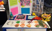 Feria Científica Preescolar