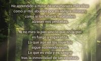 Efeméride: 31 de enero, Día de la Poesía   Frase: He aprendido a mirar de una manera más viva: como si mis abuelos por mi sangre miraran; como si los futuros habitantes alzaran mis pestañas.   Yo no miro la piel sino lo que en la piel es fuego y esperanza. Lo que aún en los muertos sigue nutriendo razas. Lo que es vida y es sangre tras la inmovilidad de las estatuas.   Profundidad Jorge Debravo