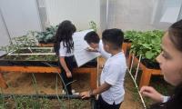 Niños de Escuela Japón encuentran en huerta escolar un aula a cielo abierto