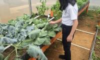 Niños de Escuela Japón encuentran en huerta escolar un aula a cielo abierto