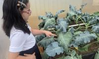 Niños de Escuela Japón encuentran en huerta escolar un aula a cielo abierto