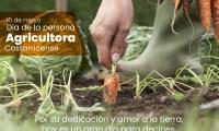 Se ilustra una persona cosechando una zanahoria en campos de cultivo.