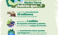 Se ilustra a una mujer protegiéndo el globo terráqueo.