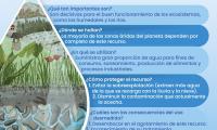 22 de marzo, Día Mundial del Agua.