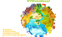 Se ilustra un planeta donde representa la biodiversidad terrestre y marítima.