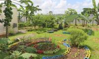 Jardines de la escuela Roxana en Pococí