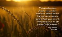 un amanecer explendoroso sobre una zona de campos de trigo, con un texto.