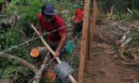 Estudiantes con herramientas construyen una cerca