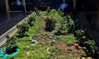 Jardín entre pasillos. Luce cuidado