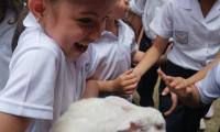 Niña carga a un conejo blanco. Otros niños ven con admiración el acto.