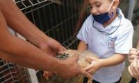 persona adulta le da una gallina a un niño